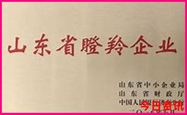 夏天去哈尔滨旅游
